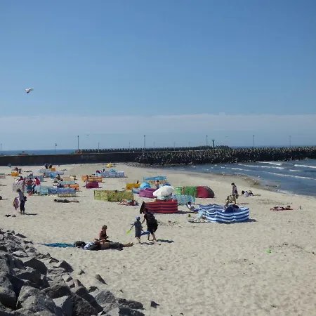 Albatros Raf Daire *